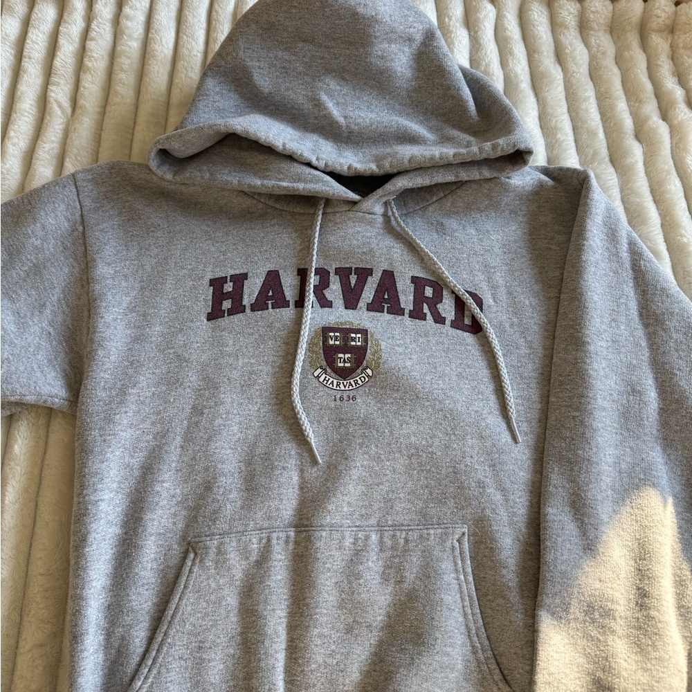 Hanes Gray Harvard Hoodie